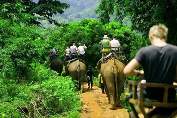 elephant-trekking-1