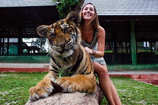 semplice-tiger-kingdom-phuket-9