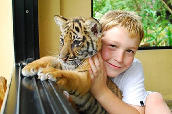 tiger-kingdom1
